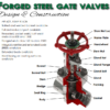 FORGED GATE -GLOBE - CHECK01