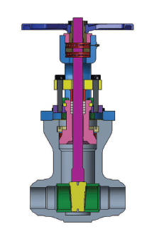 High Pressure Forged Steel Valve01