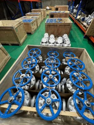 gate valve, globe valve, check valve, ball valve, plug valve, butterfly valve